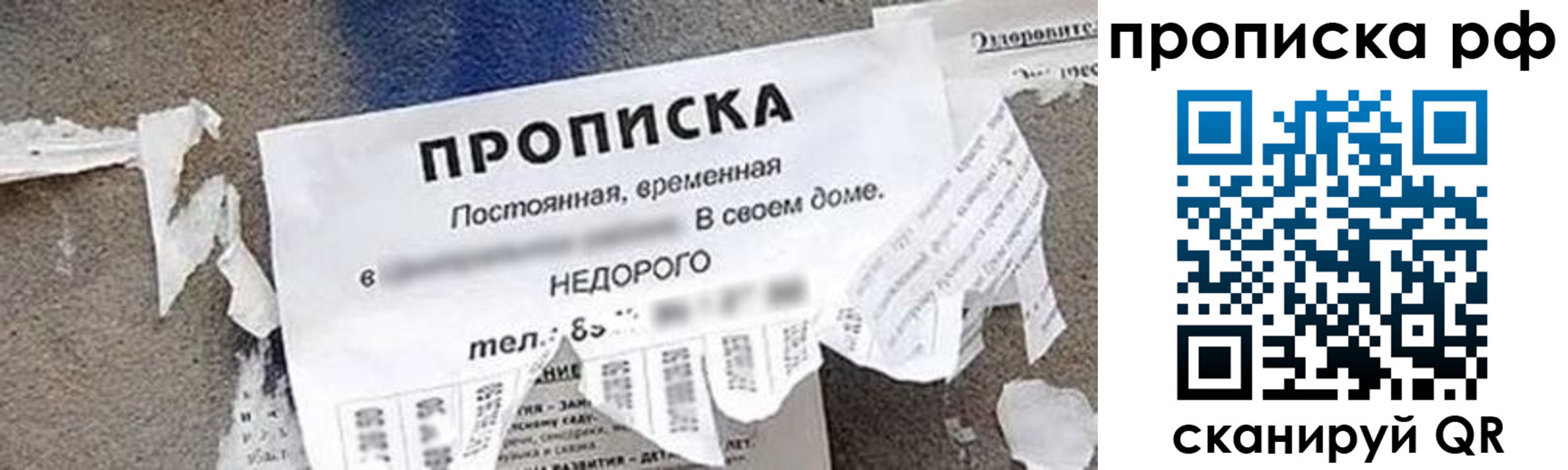 где прописаться в Муроме